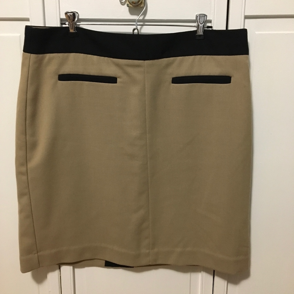 Tan & Black Skirt